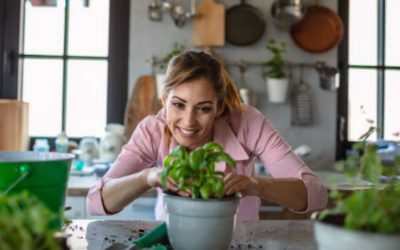 Decorar tu cocina con plantas: ideas útiles