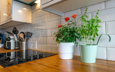Cómo decorar la cocina con plantas de interior